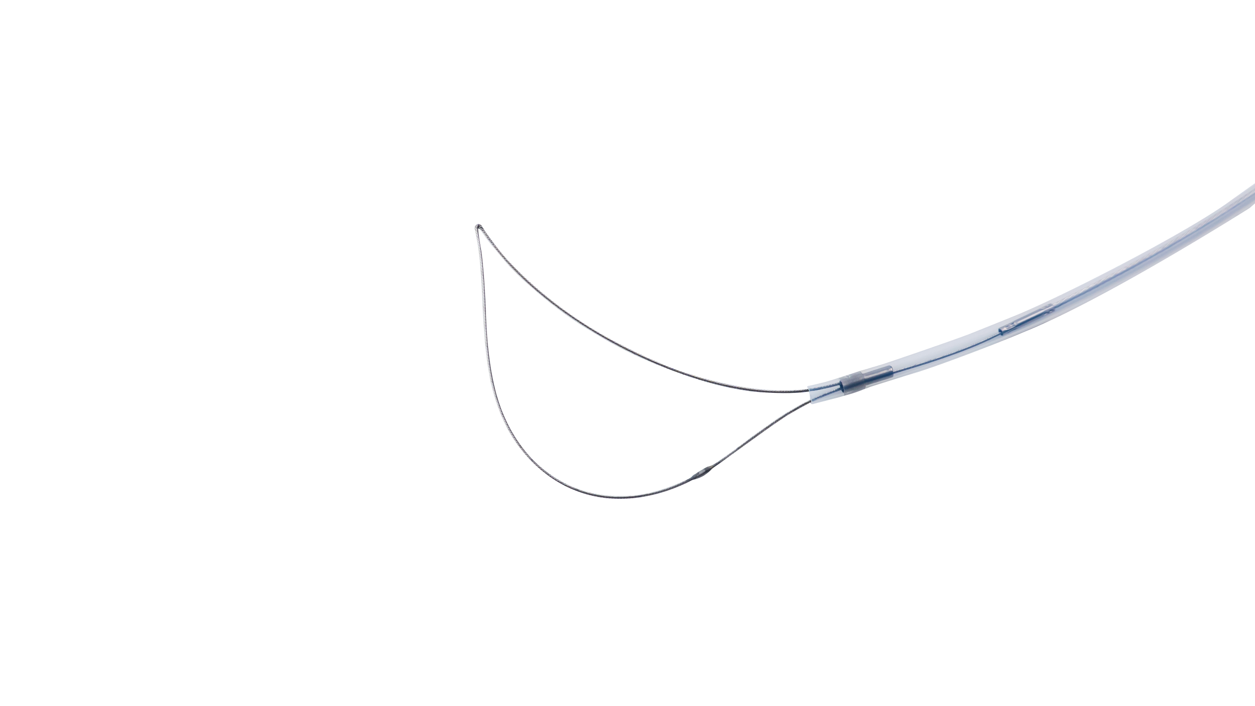 ASA DE POLIPECTOMIA - Image 2