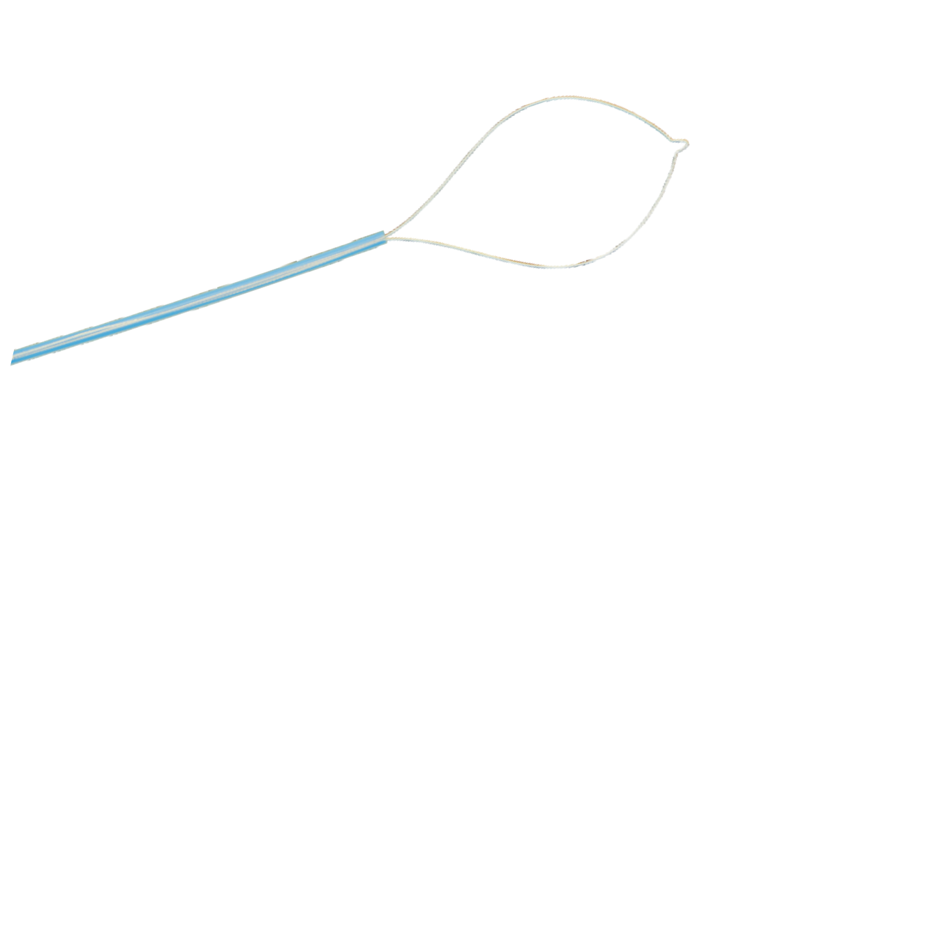 ASA DE POLIPECTOMIA - Image 6