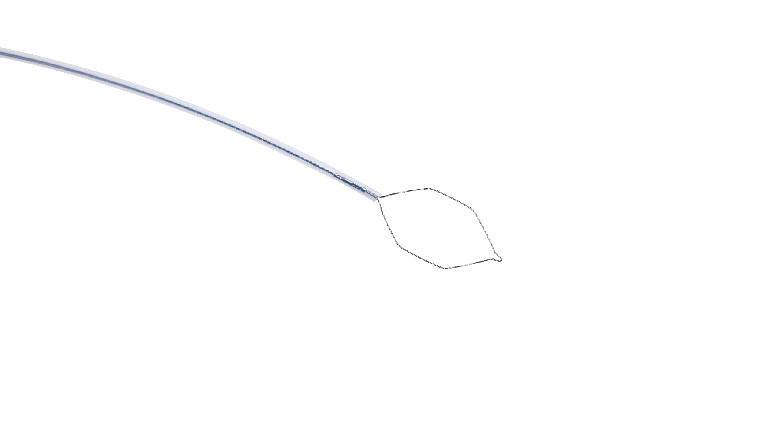 ASA DE POLIPECTOMIA - Image 4